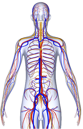 Treatment of Aortic aneurysms in Egypt